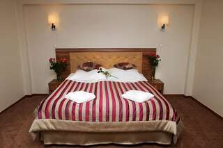 Отель Hotel Antoni Томашув-Любельский Двухместный номер с 1 кроватью или 2 отдельными кроватями-1