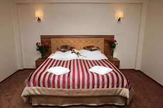 Отель Hotel Antoni Томашув-Любельский Двухместный номер с 1 кроватью или 2 отдельными кроватями-4