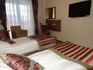 Отель Hotel Antoni Томашув-Любельский Двухместный номер с 1 кроватью или 2 отдельными кроватями-8